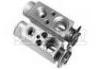 膨胀阀 Expansion Valve:7701039601