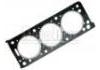 Cylinder Head Gasket:0203.67