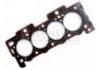 Cylinder Head Gasket:0209.Y0