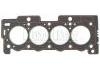 Cylinder Head Gasket:0209.CJ