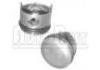 Piñón Piston:AP06301