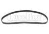 Steuerriemen Timing Belt:0816.85