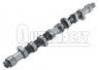 凸轮轴 Camshaft:0801.E8