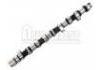 凸轮轴 Camshaft:0801.N7