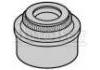 Valve Stem Seal:1 620 861