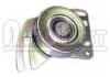 Polea loca, polea tensora Idler Pulley:6453.C6