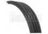 Keilrippenriemen V-Ribbed Belt:4PK813