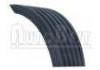 Keilrippenriemen V-Ribbed Belt:6PK998