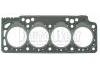 Cylinder Head Gasket:7701039398