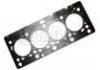 Cylinder Head Gasket:8200071111