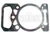 Cylinder Head Gasket:5000676939