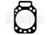 Cylinder Head Gasket:7701023166