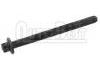 Vis de culasse Cylinder Head Bolt:7701473178
