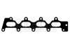 Intake Manifold Gasket:7700105852