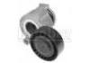 涨紧轮 Tension Roller:8200460446
