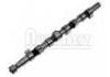 Arbol de Levas Camshaft:7700862078