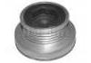 Alternator Pulley:8200113636