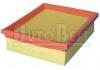 Filtro de aire Air Filter:1444.J3