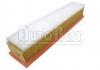 空气滤清器 Air Filter:8200298074