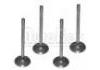 впускной клапан Inlet Valve:7701473184