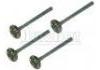 выпускной клапан Exhaust Valve:7701465090