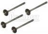 выпускной клапан Exhaust Valve:7701473183