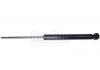 Amortiguador Shock Absorber:6001549248