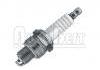 火花塞 Spark Plug:7700580479