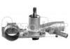 Wasserpumpe Water Pump:1202.79