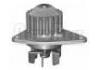 Wasserpumpe Water Pump:1201.G0
