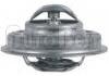 Termostato, refrigerante Thermostat:1338.24