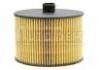 бензиновый фильтр Fuel Filter:1906.89