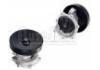 Water Pump:7701468802