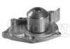 Water Pump:7701474435