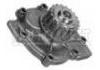 Water Pump:7438610006