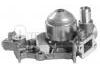 Water Pump:7700864596