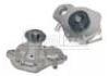 Water Pump:7701461336