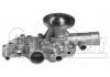 Wasserpumpe Water Pump:7701460697