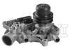 Wasserpumpe Water Pump:7701461239