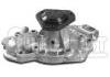 Wasserpumpe Water Pump:7701464538