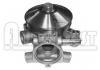 Wasserpumpe Water Pump:7701466262