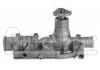 Wasserpumpe Water Pump:7701450295