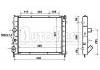Radiator:7700301171