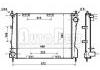 Radiator:8200468931