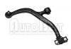 Brazo de suspensión Control Arm:3520.92