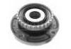 комплекс ступичного подшипника Wheel Hub Bearing:3748.32