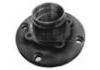 комплекс ступичного подшипника Wheel Hub Bearing:3701.31