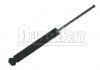 Amortiguador Shock Absorber:5206.W3