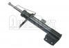Amortiguador Shock Absorber:5202.CZ