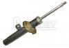 Amortiguador Shock Absorber:5202.X8